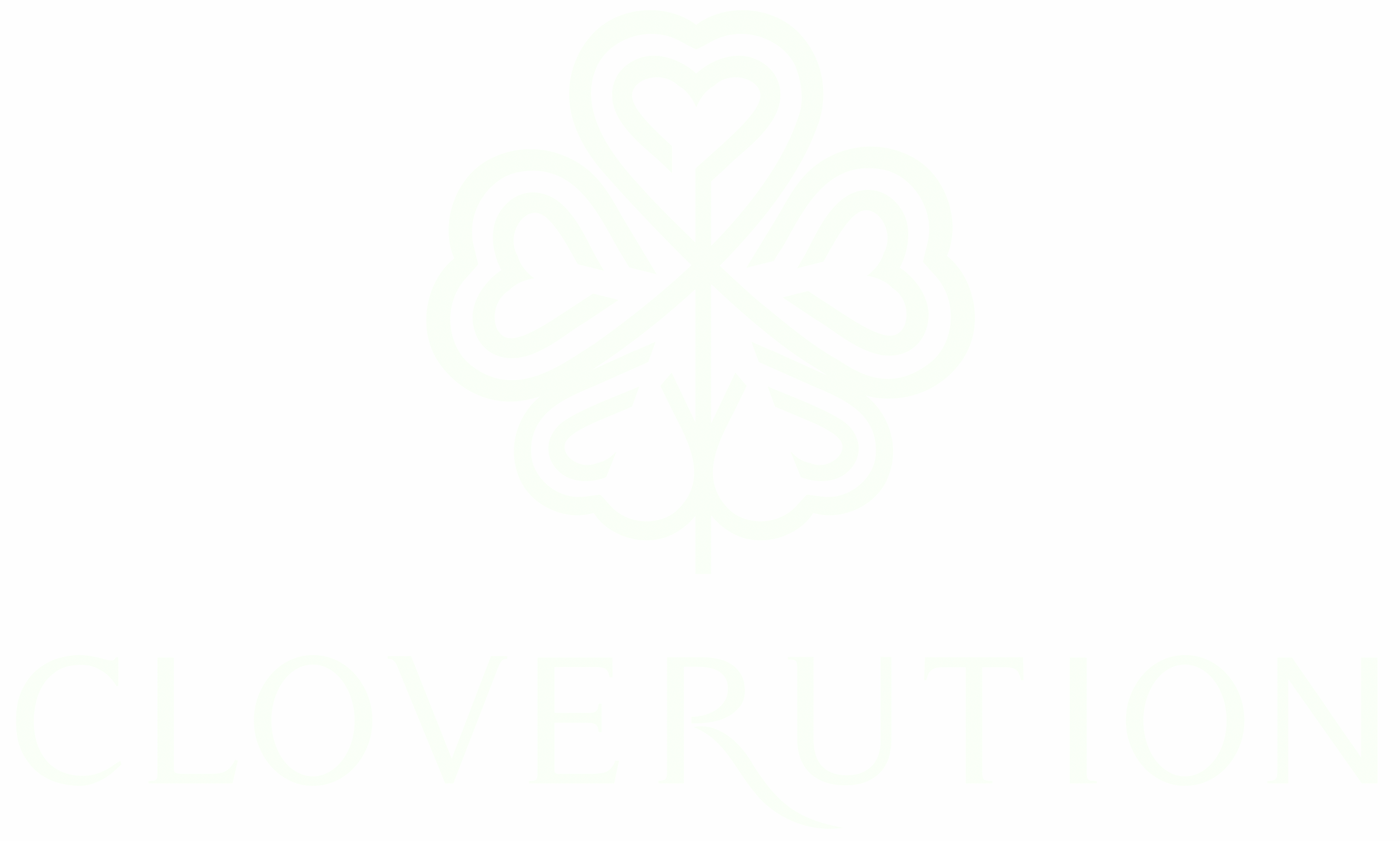 Cloverution Logo
